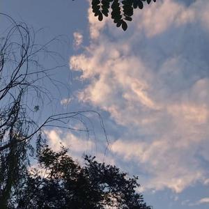 r34荒野乱斗奖励网站入口
